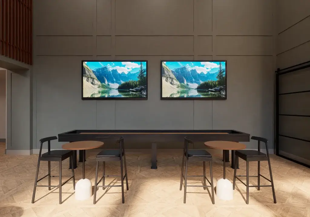 clubroom shuffleboard dynamic